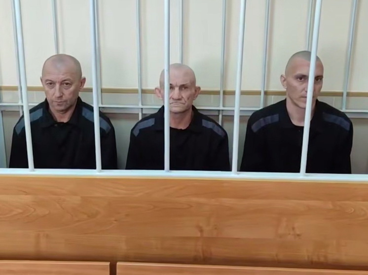 Суд вынес приговор трём боевикам ВСУ за теракт в курском приграничье