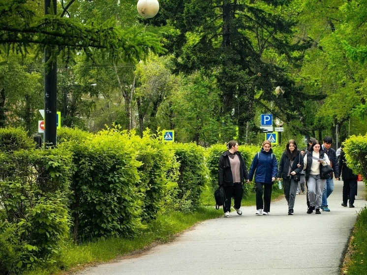 Синоптики Хакасии пообещали сильный ветер, дожди и похолодание