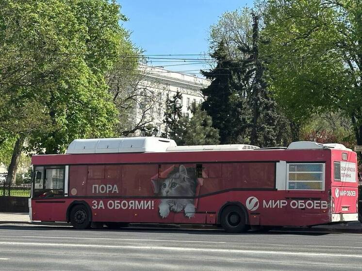 Больше половины нижегородцев недовольны общественным транспортом