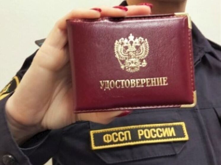 Ленинградские приставы взыскали с родителей 440 миллионов рублей на содержание детей