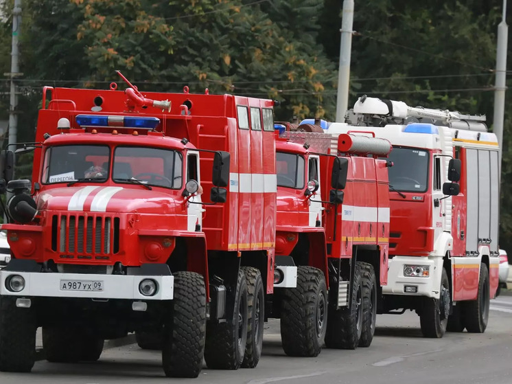 Пожар на Зеленом острове в Ростове потушили