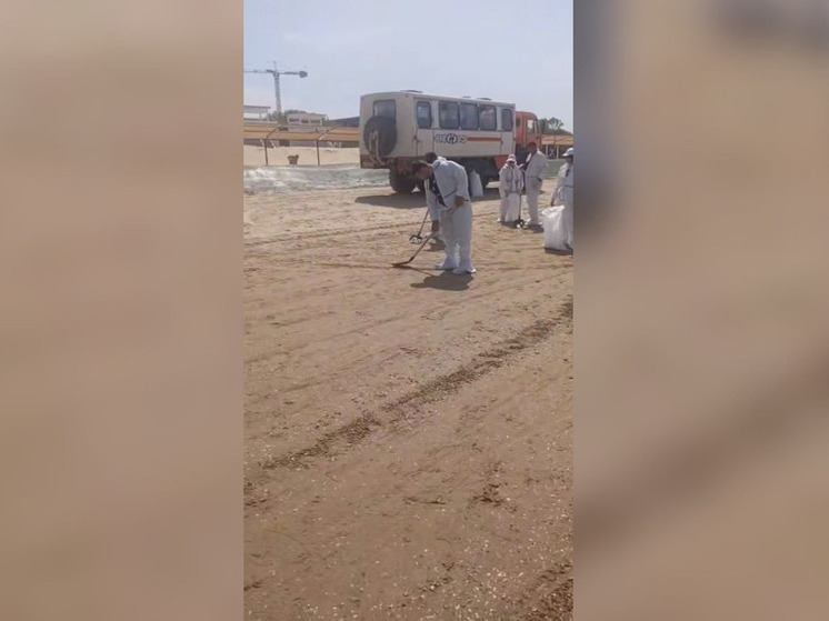 В Анапе 26 мая обнаружили новые выбросы мазута