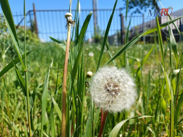 Калужские синоптики обещают стабильное тепло