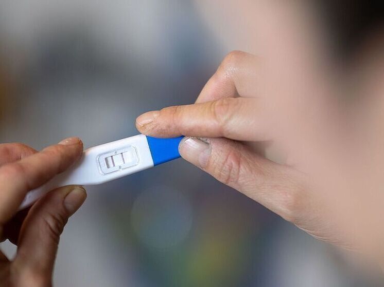 В ГД внесли законопроект о пенсии зачатым после смерти отца методом ЭКО детям