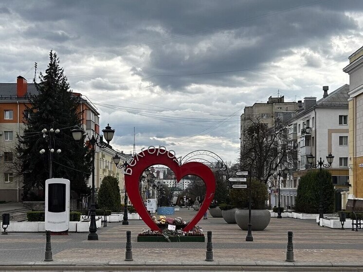 Белгородец возмутился состоянию «Раненого сердца»