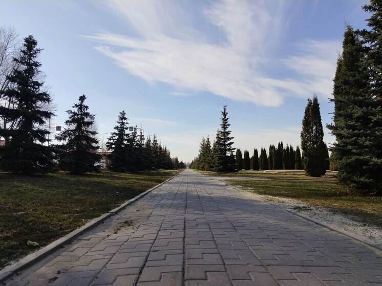 Белгородка пожаловалась на отдыхающих людей на аллее около «Энергомаша»