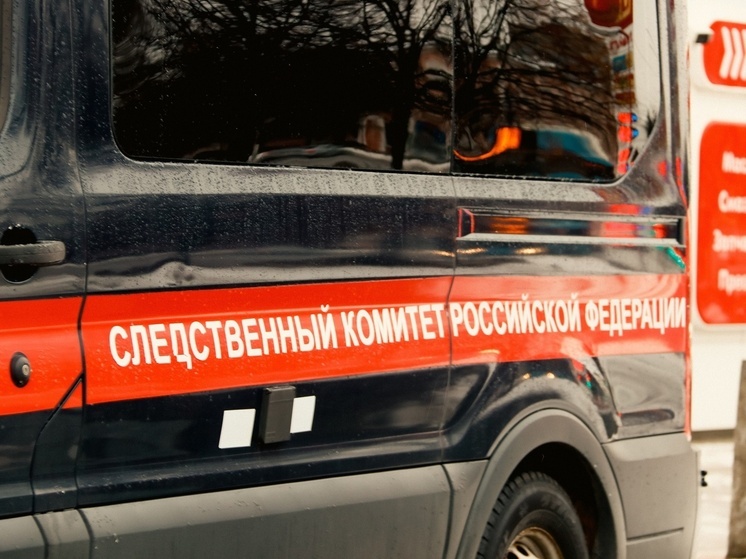 Бастрыкин заинтересовался инцидентом со школьниками в Колталово Тверской области