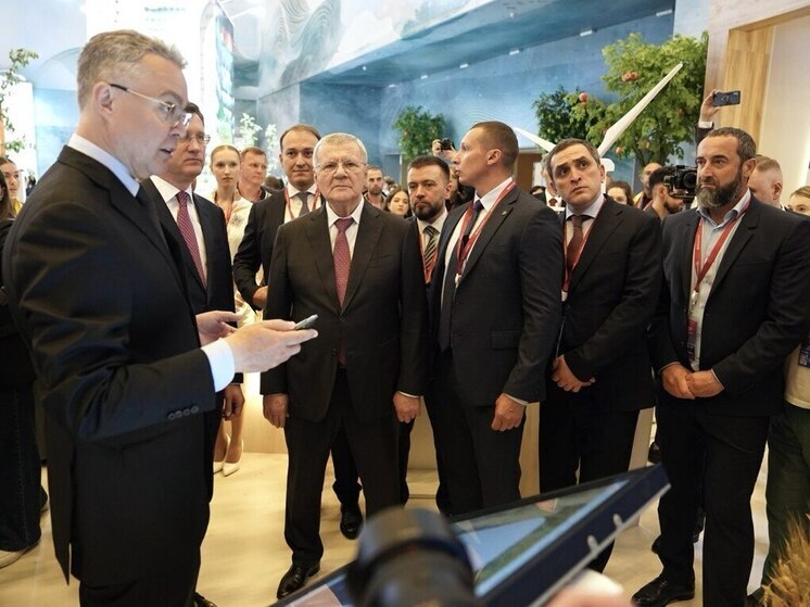 Губернатор Владимиров представил инвестпотенциал Ставрополья