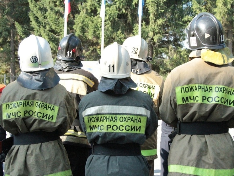 137 пожаров потушили в Новосибирской области за неделю