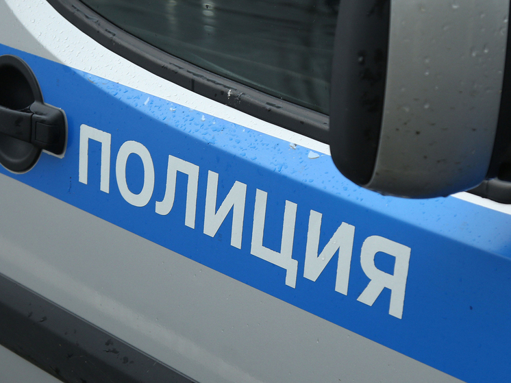 Выяснились подробности драки с последующей поножовщиной в ТЦ «Черкизовский пассаж», о которой уже рассказывал «МК»