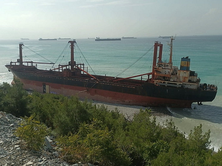 Эколог Есина заявила об опасности из-за крушения контейнеровоза у берегов Индии