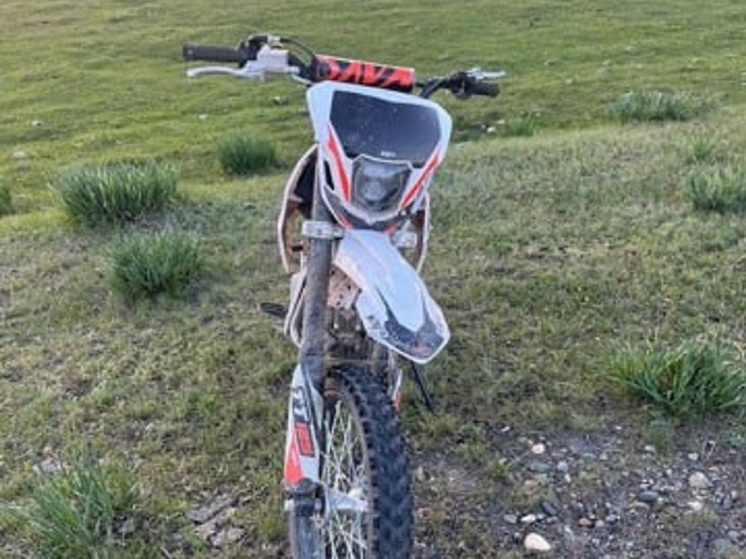 В Хакасии подросток скончался через десять дней после аварии с лошадью