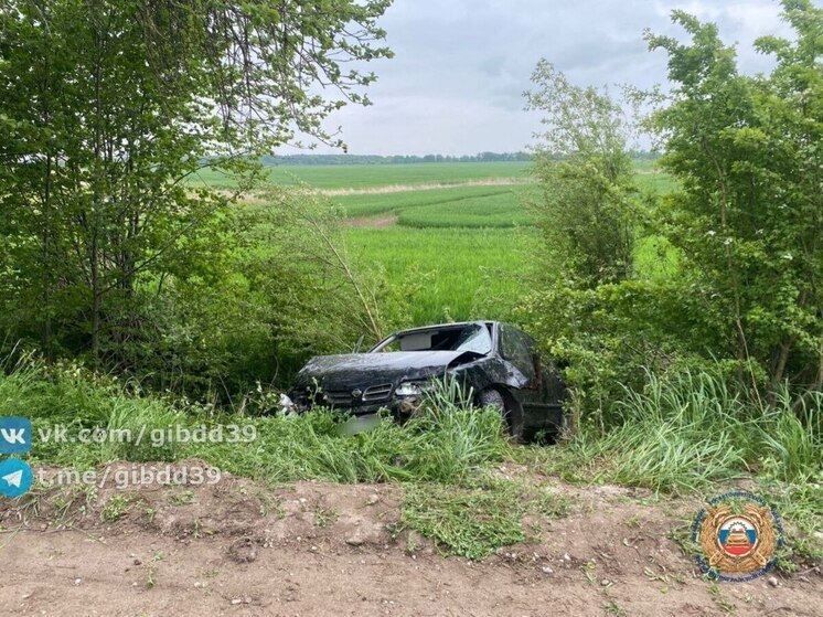 В Багратионовском районе из-за лисы произошло ДТП с двумя пострадавшими девушками