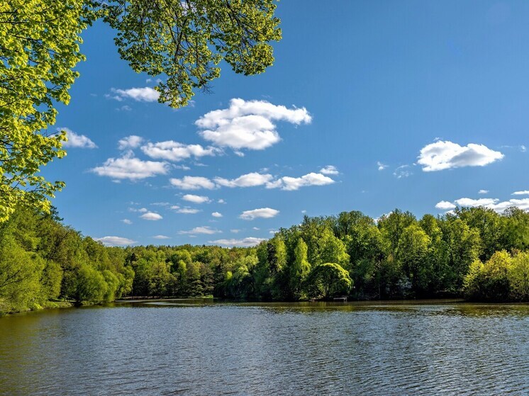 Жара установилась в регионах центра европейской России из-за антициклона