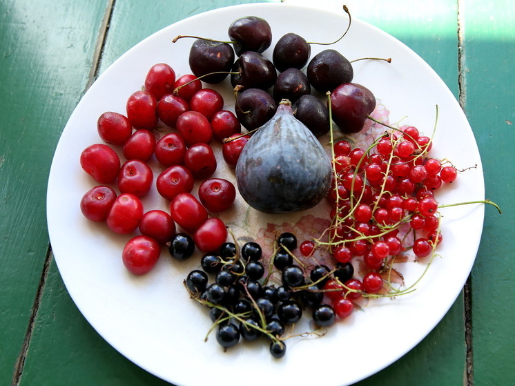 Депутат Колунов: за сбор ягод, занесенных в Красную книгу, грозит уголовная ответственность