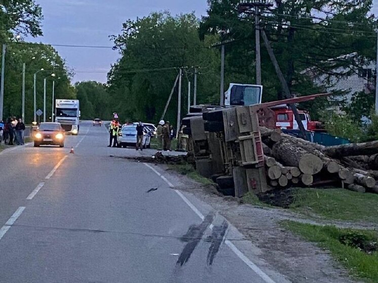 Под колесами лесовоза погиб ребенок в Хабаровском крае
