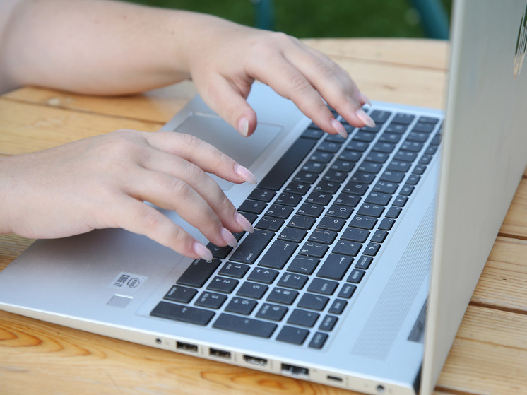 Роскомнадзор: в «Википедии» остаются доступными 133 фейка о спецоперации