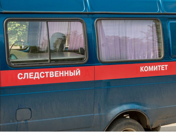 Глава СК России взял на контроль дело о конфликте подростков в Кемерово