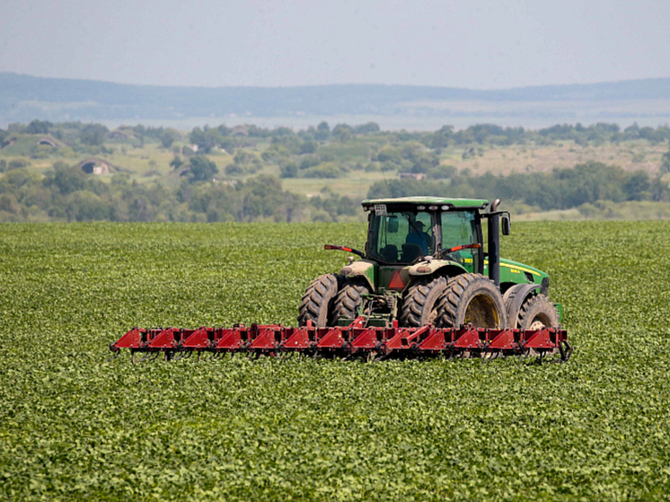 Приморье собрало на 30% больше овощей в 2024 году