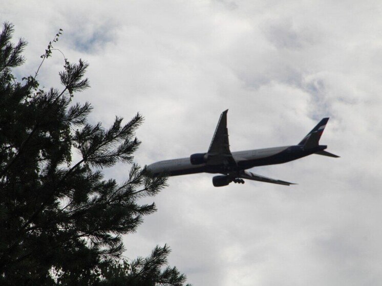 Аэрофлот представил новые блюда на рейсах из дальневосточных регионов