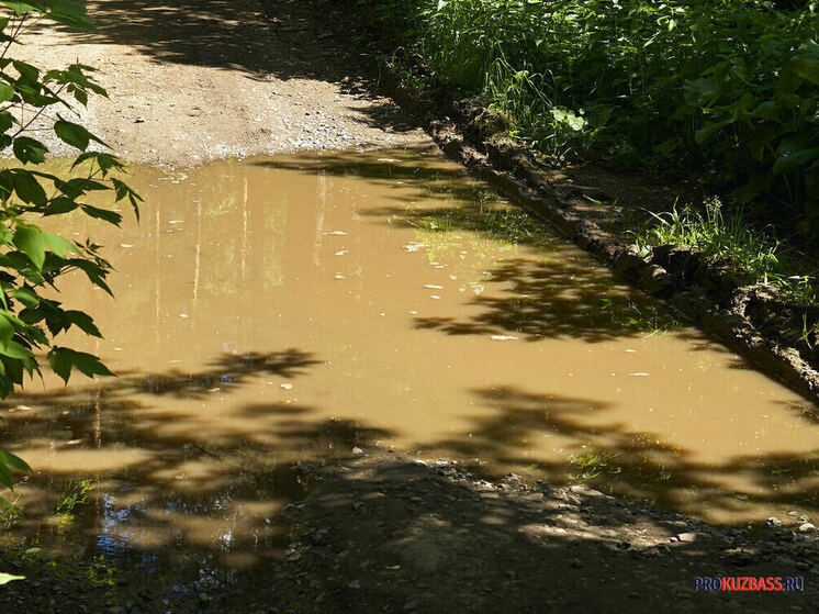 «По колено в воде ходим»: кемеровчане пожаловались на огромную лужу на пешеходной дорожке