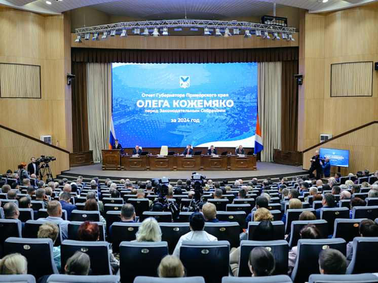 Глава региона выступил с отчетом перед законодательной думой
В Приморском крае решена проблема с местами в детских садах для малышей от 1,5 до 3 лет
