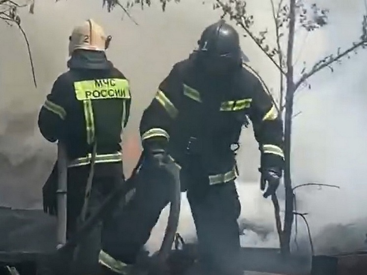 От обломков упавшего БПЛА в Воронежской области загорелся лес