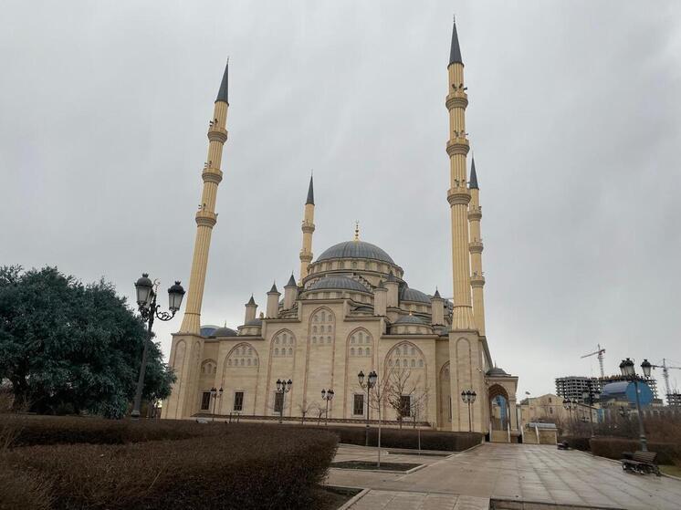 Чеченец остановил женщину с ножом, ранившую 18 человек на вокзале в Гамбурге