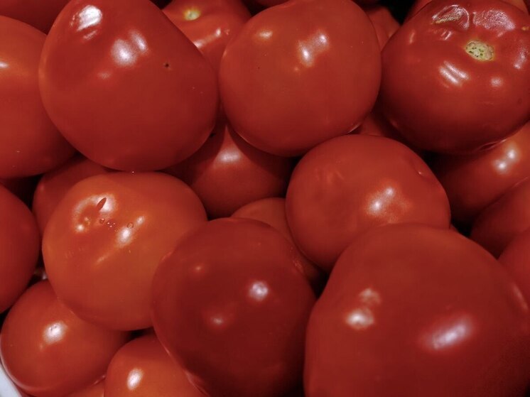 Россельхознадзор предотвратил ввоз 16 тонн зараженных томатов из Китая в Приморье