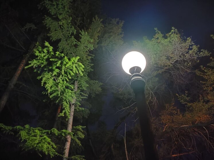 Энергетики Владивостока за неделю отремонтировали десятки фонарей и опор