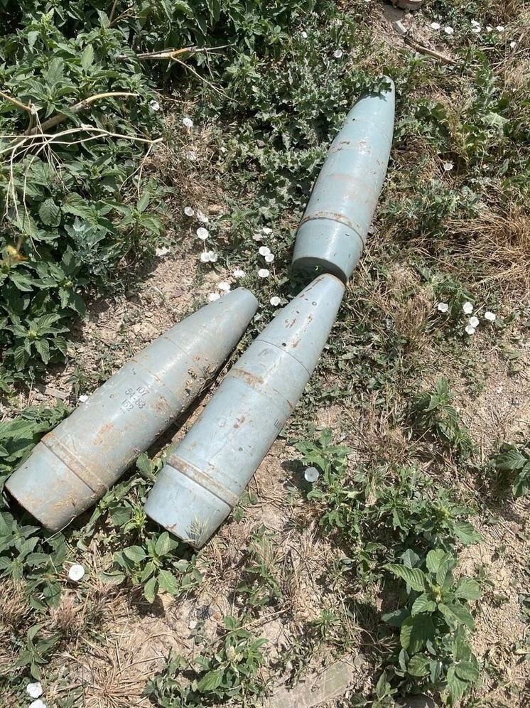 В селе Червоное Озеро обнаружены боеприпасы: полиция пресекает незаконный оборот