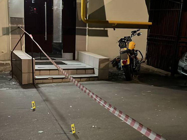 Громкое убийство крупного предпринимателя армянского происхождения Оганеса Камаряна в центре Москвы раскрыли следователи ГСУ СКР по Москве