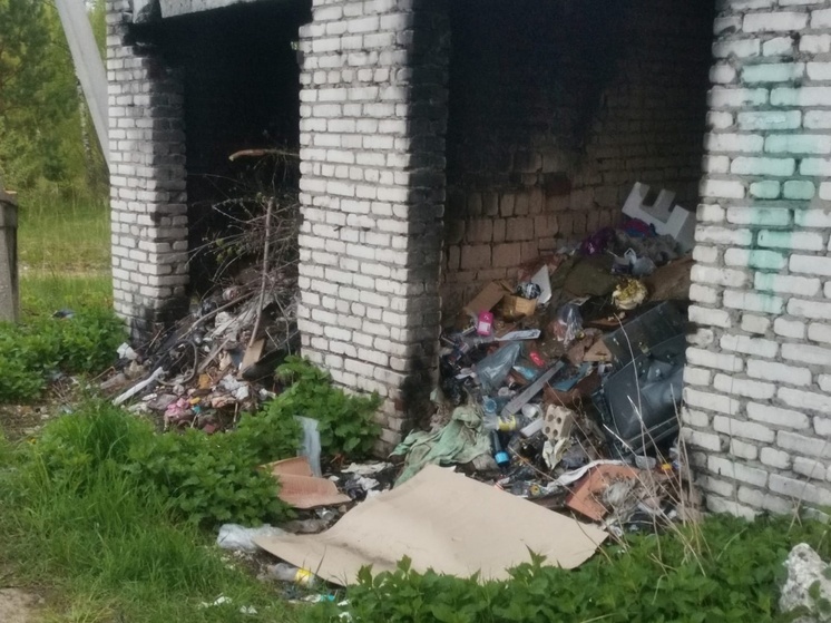 В Селивановском районе прокуратура добивается ликвидации свалок