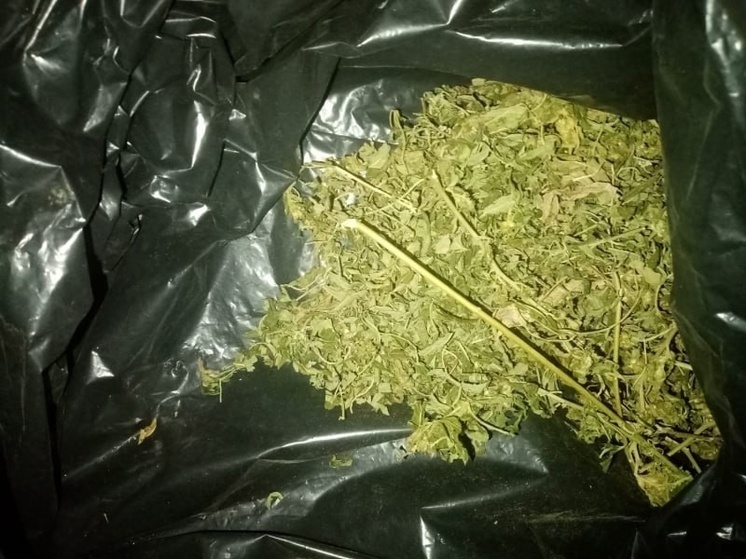 У жителя села Великая Белозерка полиция Запорожья изъяла запрещенные вещества