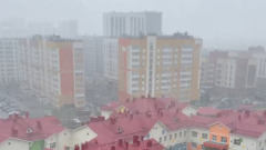 Майский снегопад в Барнауле. Видео 