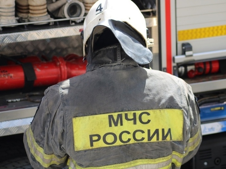 В Ефремове пожарным удалось потушить легковой автомобиль