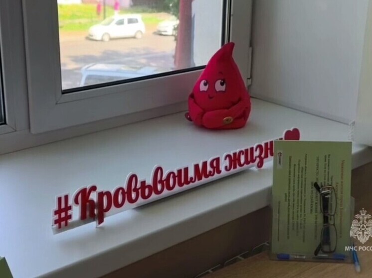 Сотрудники МЧС России стали донорами крови в Амурской области