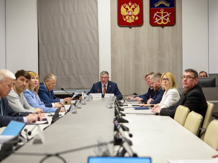 Электронное голосование в двух форматах может появиться в Мурманской области