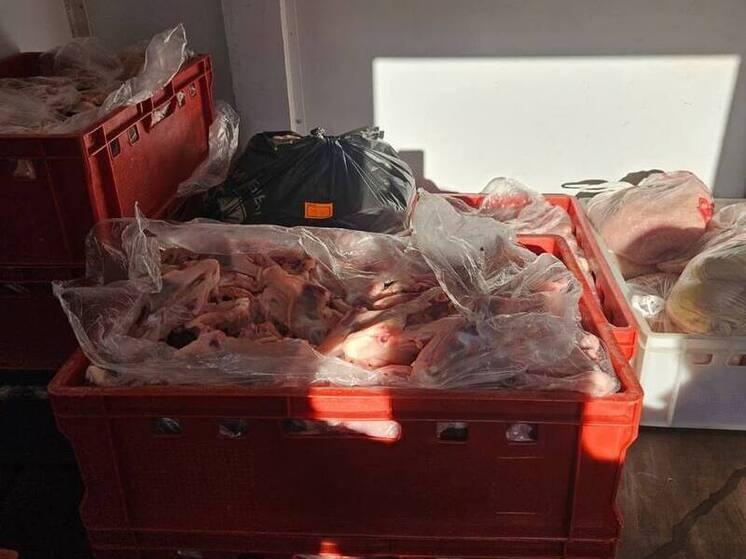На Кубани обнаружили нарушения при перевозке 139 килограммов мяса