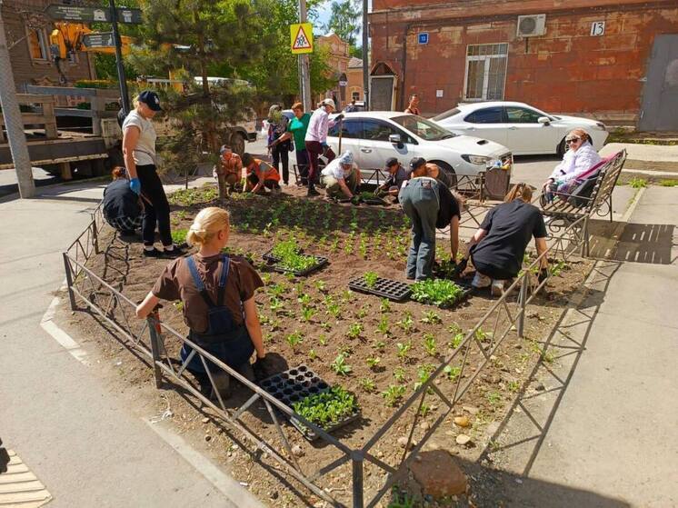 Иркутск украшают к лету: на клумбы высаживают сотни тысяч цветов