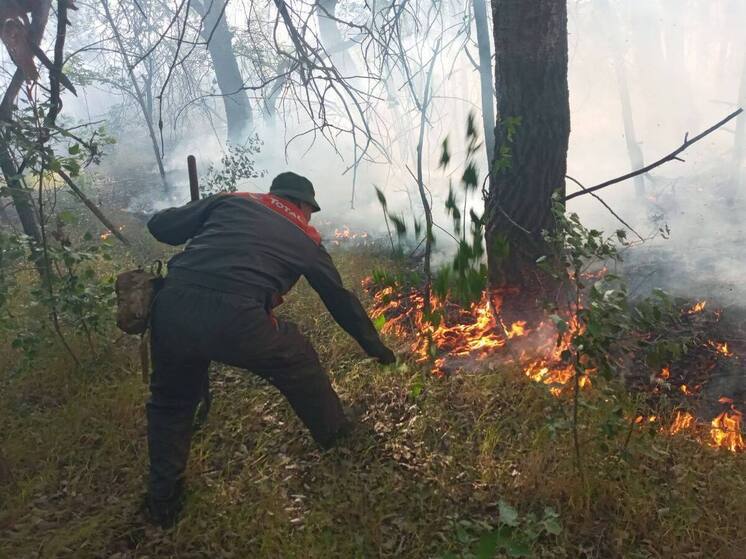 В Голопристанском лесхозе своими силами потушили два лесных пожара