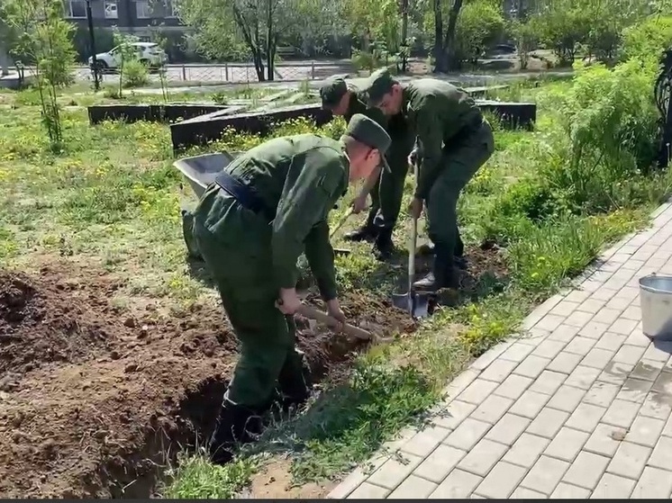 В Улан-Удэ пограничники высадили рябины и акации в сквере на улице Николая Петрова