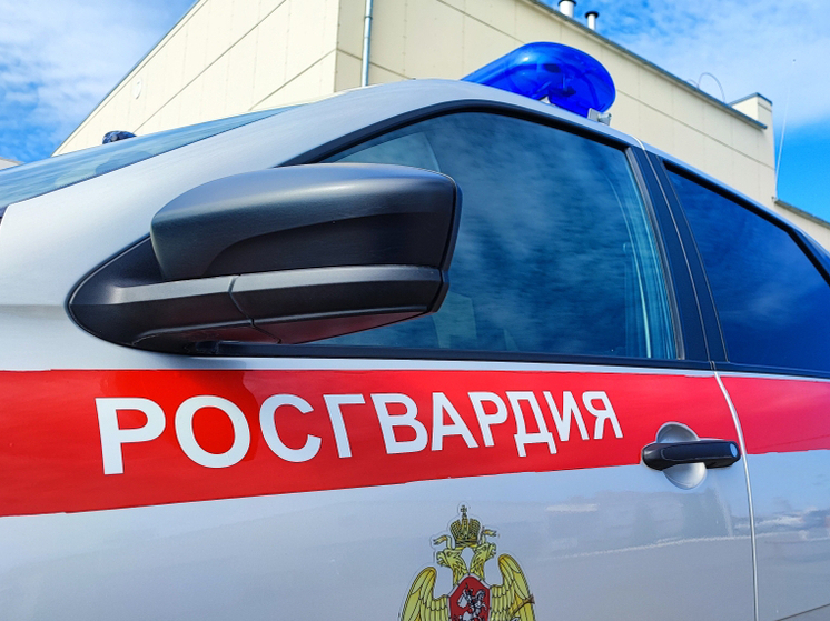 В Тамбовской области Росгвардия пресекла 12 правонарушений за неделю