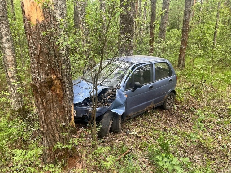 В Орловской области иномарка въехала в дерево