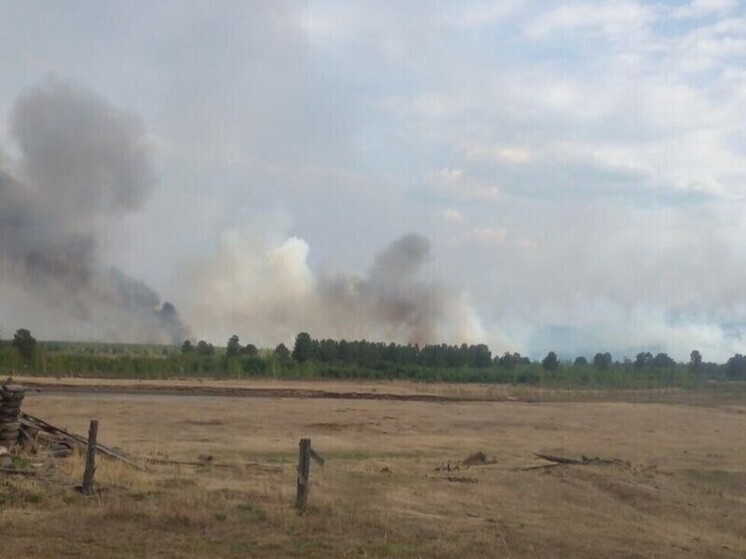 Пожар ушел в другую сторону от села Хушенга в Забайкалье