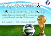 В Чебоксарах открылись традиционные соревнования по мини-футболу среди дошкольников