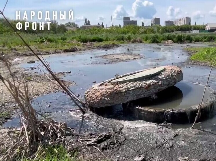 ОНФ: в Тамбове растет озеро нечистот на Бастионной улице