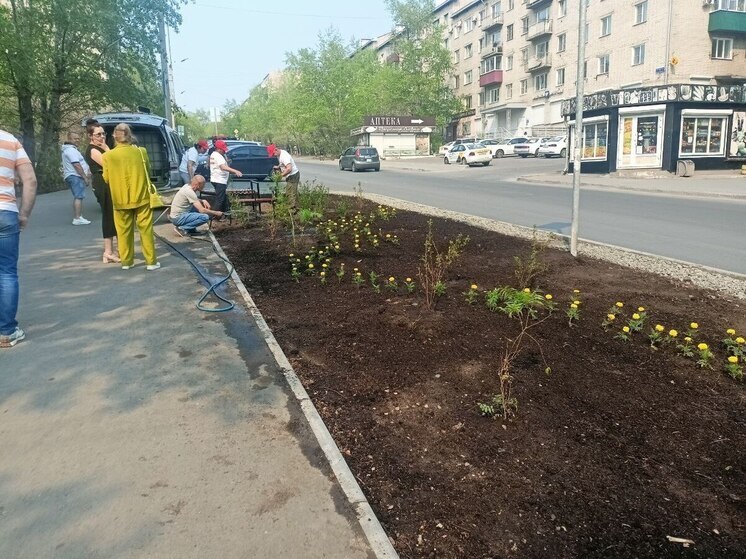 Спроектированную студентами клумбу засадили смородиной и сиренью в Чите