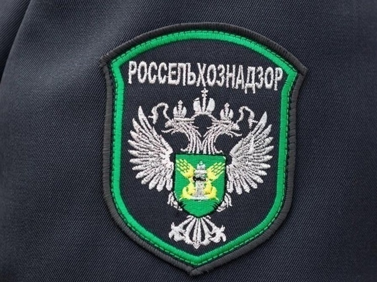 Собственник участка в Тверской области должен привести в порядок больше 10 гектаров земли