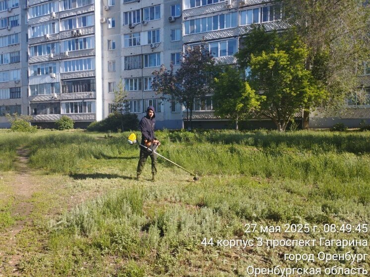 В Оренбурге скошено почти 2 миллиона квадратных метров сорняков